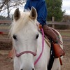 Crystal Montgomery > Riding photo