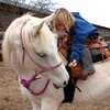 Crystal Montgomery > Sarah going for a ride on Dancer, a 26 y/o Arabian mare.