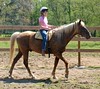 Crystal Montgomery > Spring Break Horse Camp 2008 photo