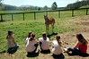 Crystal Montgomery > Spring Break Horse Camp 2008 photo