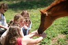 Crystal Montgomery > Spring Break Horse Camp 2008 photo
