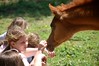 Crystal Montgomery > Spring Break Horse Camp 2008 photo