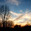 Crystal Montgomery > Nature photo