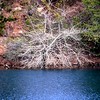 DeSoto Lake : 