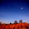 Night Photography : 